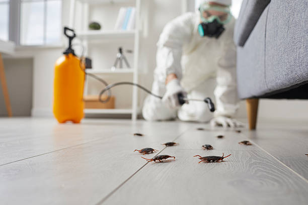 Commercial Rodent Management in Monee